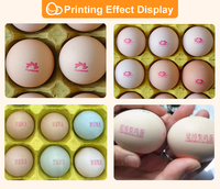 Imprimante jet d'encre industrielle haute précision pour coquilles d'œufs, imprimante de codage d'œufs multicolore, machine automatique d'impression de date sur œufs