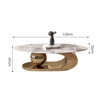 Table Basse Ovale Nordique de Salon Moderne Luxe Grande Taille Design Boule de Thé Meuble de Maison en Métal