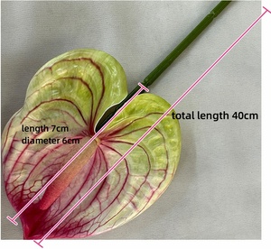 Bán buôn cảm ứng thực sự <span class=keywords><strong>anthurium</strong></span> hoa nhân tạo Latex cây hoa cho nhà phòng khách sự kiện đám cưới trang trí - Product Image 4