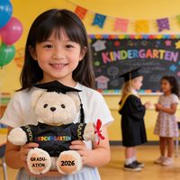 Ours en peluche personnalisé OEM doux de 25 cm avec doublure en maille brodée – Cadeau idéal pour les garçons et les filles, anniversaire, remise de diplôme, célébration