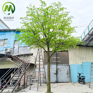 Arbre artificiel Enkianthus Perulatus avec tronc en fibre de verre, arbre artificiel personnalisé pour décoration intérieure/extérieure, mariage, résistant à l'eau, écologique - Product Image 1