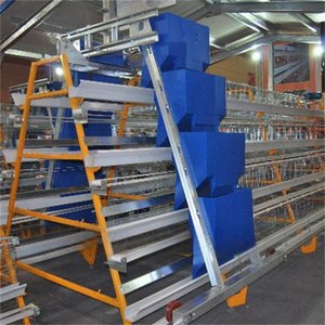 Jaula para Gallinas Ponedoras Tipo A de 3 y 4 Niveles Galvanizada por Inmersión en Caliente con Sistema de Bebedero Automático para Equipo de Granja Avícola - Product Image 6