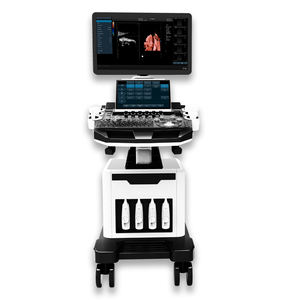 Beberapa Probe 3D 4D Digital Vet <span class=keywords><strong>ultrasound</strong></span> <span class=keywords><strong>Scan</strong></span> warna Doppler mesin <span class=keywords><strong>Ultrasound</strong></span> troli dokter hewan <span class=keywords><strong>ultrasound</strong></span> - Product Image 2