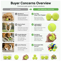 Starter SKU 6.3cm Ballon de tennis pour chien à rebond élevé pour le jeu en parc, les récompenses d'entraînement et l'exercice actif
