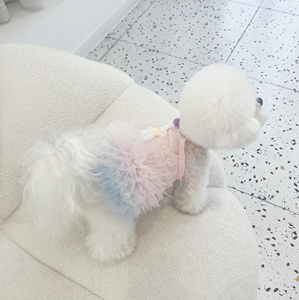 Robe Tutu pour Chien et Chat, Vêtements pour Petit Chien, Accessoires pour Animaux de Compagnie, Robe Assortie pour Chien et Propriétaire, Robe de Luxe pour Newfoundland - Product Image 4