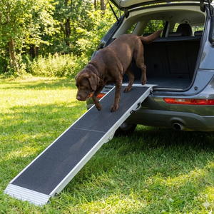 <span class=keywords><strong>Rampe</strong></span> pliable pour animaux de compagnie, <span class=keywords><strong>rampe</strong></span> de voiture pour chien, <span class=keywords><strong>escalier</strong></span>, <span class=keywords><strong>rampe</strong></span> pour chien de grande taille en plastique PP écologique - Product Image 1