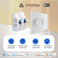 Bilihondim Matter Control – Variateur mural intelligent pour maison connectée, lot de 2, 200W, 1 canal, portée 30M, télécommande sans fil, sortie 1A