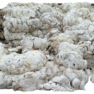 ยางลาเท็กซ์ธรรมชาติจากเวียดนาม ยี่ห้อไป๋เยว่ ชนิดก้อน ความเข้มข้นแอมโมเนียสูง ราคาแข่งขัน พร้อมบริการตัดและแปรรูป สายพานยางสีขาว - Product Image 1