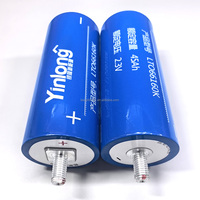 Cellule LTO 2.3V 45Ah 45000mAh Yinlong prismatique rechargeable au lithium-titanate