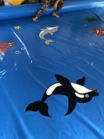 Piscine gonflable résidentielle pour enfants Raiseng, taille standard, en PVC bleu, carrée, dimensions 8m x 6m, motif poisson de dessin animé adorable