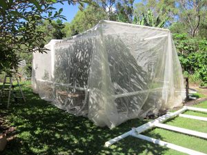 Chất lượng cao bằng chứng Pest giá rẻ ngoài trời bảo vệ <span class=keywords><strong>hat</strong></span> Net nhà kính muỗi Net chống côn trùng lưới - Product Image 5