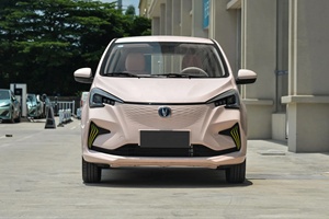 Changan Benben E-star Full Electric 2026 5 portes 5 places Hatchback Smart Mini Benben E Star Voiture Électrique - Product Image 3