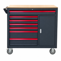 Armoire métallique à roulettes pour garage/atelier, construction en acier laminé à froid, capacité de charge 300 kg, système de verrouillage à clé