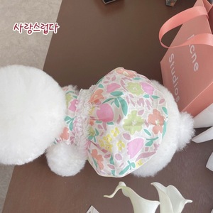 Korean style INS bubble princess dress, thin spring/summer pet <b>clothes</b> for Bichon Frise, Teddy, <b>cats</b>, and puppies. Wholesale. - Product Image 2