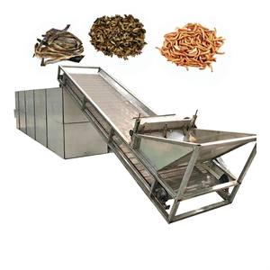 Séchoir à bande maillée à air chaud économique à commande PLC pour larves d'insectes (mouches soldat noires, vers de soie, cocons), pour la transformation alimentaire - Product Image 1