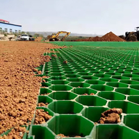 Grille résistante à la corrosion de pavés de protection d'herbe de HDPE pour le système de renfort au sol