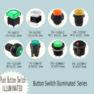 Wintai-công nghệ Trung Quốc 10 mét 2pin push <span class=keywords><strong>button</strong></span> chuyển nhỏ Nút chuyển đổi DS-314 momentary chuyển đổi - Product Image 5