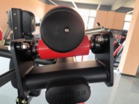Nouvelle Série de Machines à Charge Libre 2026 en Promotion – Équipement de Musculation pour Biceps Press, Origine Chine