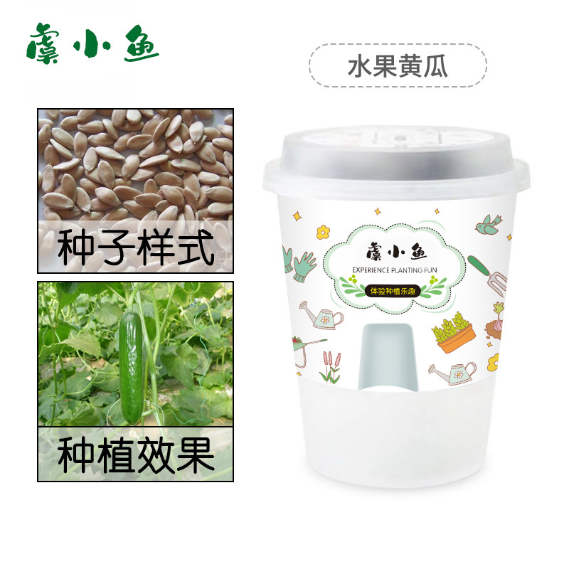 Kit de plantation de concombres fruitiers