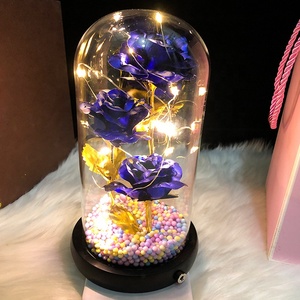 Regali artificiali di san valentino lampada a Led rosa dorata incantata lamina d'oro 24 carati rosa in cupola di vetro fiori decorativi con luci - Product Image 2