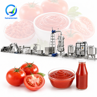 OCEAN Tomatensaus Productielijn Tomatenpuree Productielijn Kleinschalige Tomatenpasta Maakmachine