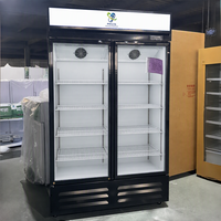 Congélateur commercial à portes vitrées, réfrigérateur pour cuisine et pharmacie, équipement médical cryogénique