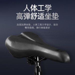 Bicicleta Plegable Philips Tandem de 20 Pulgadas con Cuadro de Aleación de Aluminio, Freno Hidráulico, Diseño Ligero y Portátil para Mamás e Hijos - Product Image 5