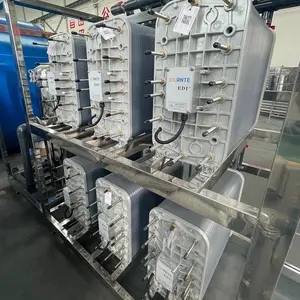 Système de purification d'eau ultra-pure industrielle 30T EDI membrane RO machine d'équipement de traitement d'eau super pure