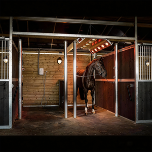 Système de thérapie infrarouge pour chevaux, solarium, thérapie par lumière rouge, système de récupération musculaire, chauffage, équipement de séchage pour écurie - Product Image 5