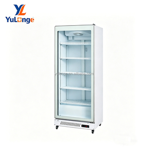 <span class=keywords><strong>Vitrine</strong></span> <span class=keywords><strong>réfrigérée</strong></span> verticale YULONGE à porte vitrée simple <span class=keywords><strong>pour</strong></span> supermarché, idéale <span class=keywords><strong>pour</strong></span> les aliments surgelés - Product Image 1