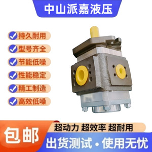 Pompe à engrenages EIPC EIPC5-100RA23-1XEIPH2-013RK03-11 à insertion interne pour machines hydrauliques à entraînement électrique - Product Image 5