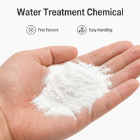 Chlorure de polyaluminium de qualité alimentaire, poudre blanche PAC 30% pour la purification de l'eau potable