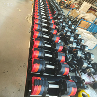 Haltères réglables rapidement, ensemble d'haltères en acier avec plaques de 5 lb d'intervalle pour usage domestique, commercial et entraînement en salle de sport publique