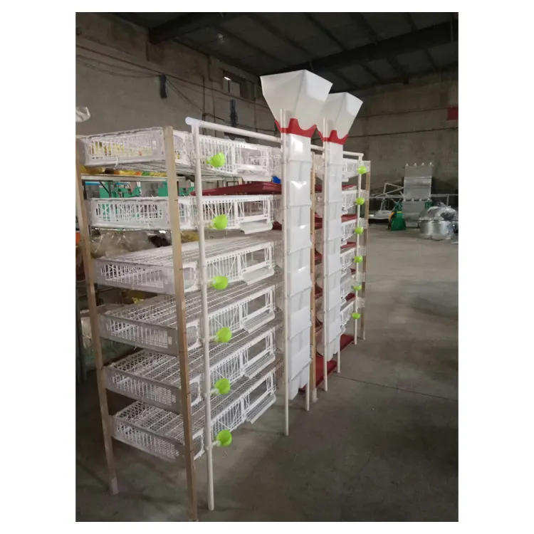 Yarı otomatik iş H tipi 6 katlı plastik bıldırcın ticari kafesleri/katmanlı bıldırcın kafesleri ekipmanları rusya bıldırcın çiftliği için