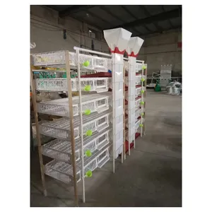 Semi-automatic Business H Type 6 Tiers Plastic Quail Commercial Cages / Layer Quail Cages Equipment For Russia Quail Farm