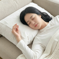 Housse de coussin jetable non tissée indispensable pour les voyages et l'hébergement, protège-coussin respirant pour les voyages en famille et les hôtels