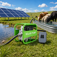 Pompe solaire auto-amorçante haute performance 3 pouces 1500W 50m³/h pour irrigation de puits peu profonds 2HP