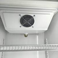 Refrigerador Vertical para Bebidas, Enfriador Vertical de Una Sola Temperatura con Enfriamiento por Aire, Exhibidor de Bebidas con Puerta de Vidrio, Refrigerador para Coca-Cola