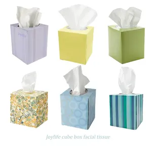 China Customized Soft Silk Paper Tissue 13GSM/15GSM Face Cleaning Printing Box Facial Tissue