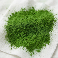 Pigment d'oxyde de fer minéral naturel Fe2O3, qualité industrielle, poudre, marque TY, multicolore, facile à mélanger, revêtement universel