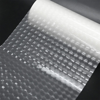 Film plastique transparent brillant souple holographique BOPP stéréoscopique 3D pour la protection des photos et des affiches