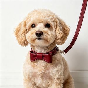 Suministro para Distribuidores: Conjunto de Collar y Correa Ajustables de Cuero para Perro, Personalizado, Listo para Exhibición en Estante para Compradores, Pedido de Muestra - Product Image 1