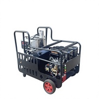 Nettoyeur haute pression à eau chaude à essence 320 bars avec chaudière à gazole pour le lavage de voitures, le nettoyage industriel