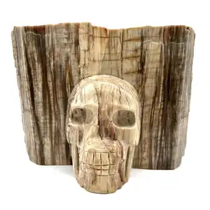 Hot selling natural gemstone polished crystal petrified wood stump shaped skull carving