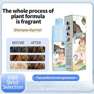 Professionelle Salon Verwendung bio-Haarfärbung natürliche Pflanze Haarfarbe Blase Haarfarbe Shampoo