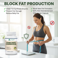 Capsules de Garcinia Cambogia Kangherb OEM ODM 60% HCA 500mg par portion pour la gestion du poids et l'équilibre de l'appétit 180 gélules