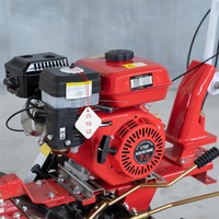 Motoculteur Rotatif Compact 170F 177F à Essence, Mini-Cultivateur Agricole, Mini-Machine à Labourer pour Ferme 7.5hp 9hp