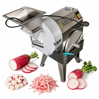 SAIDASHI Automatische Wortelgroente Snijmachine RVS Aardappel Komkommer Ui Snijder Schaafmachine