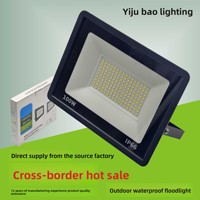 Projecteurs LED extérieurs étanches pour l'approvisionnement transfrontalier 50W/100W/200W IP66 Ultra-lumineux Robuste pour la construction Little Apple