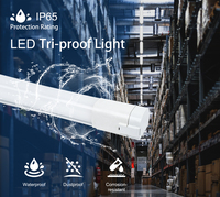Luminaria Lineal LED Tri-Proof IP65 P66 Resistente al Vapor, 10W 20W 30W 40W, para Almacenes